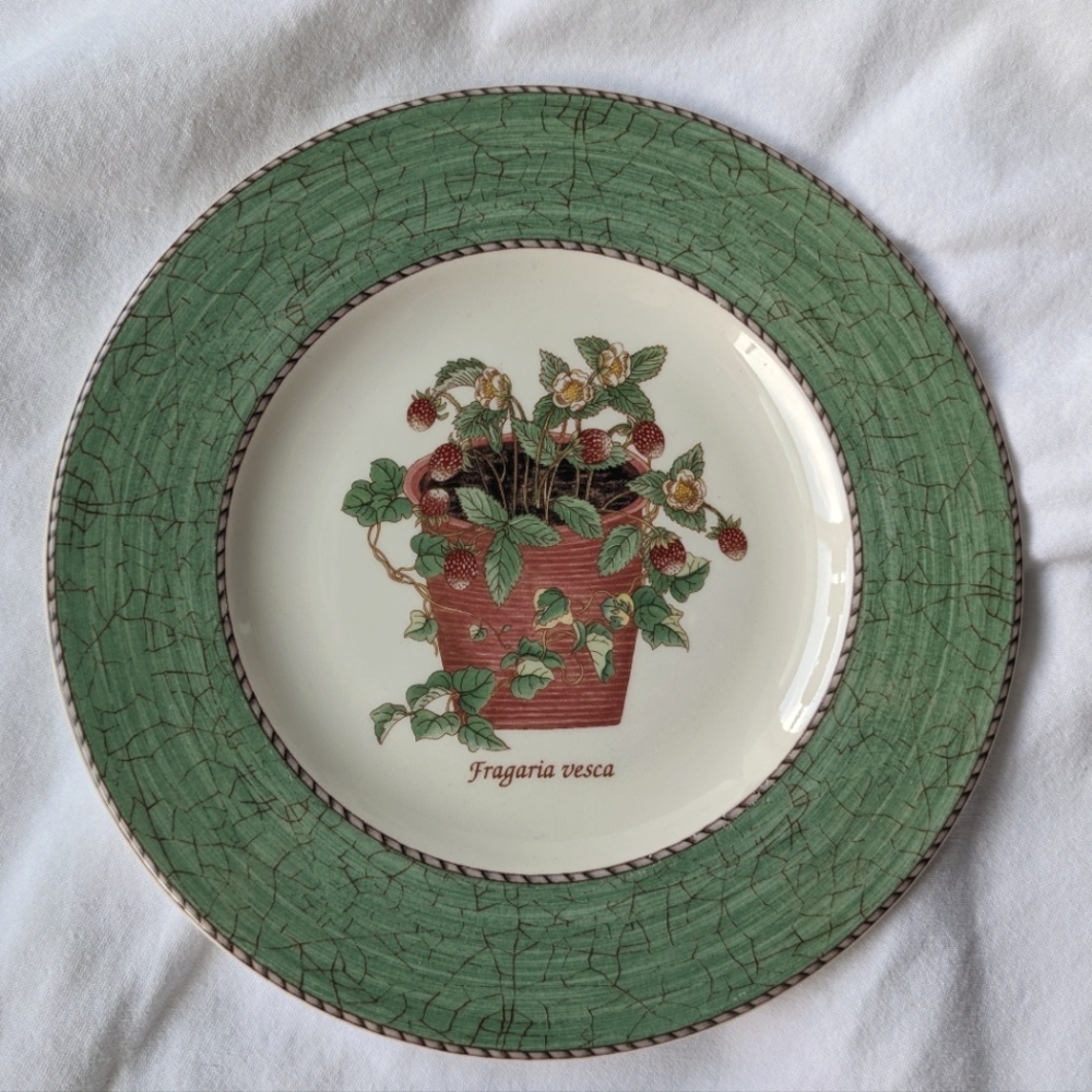 Wedgwood Sarah's Garden Floral Green Rim Wild Strawberry Salad Plates - 2